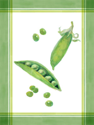 Image Not Available